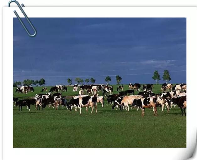 微信图片_20180904112508.jpg 微信图片_20180904112508.jpg