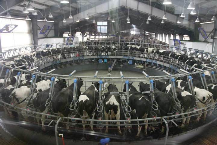 image4.jpeg image4.jpeg