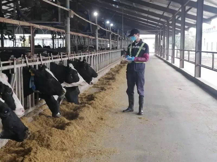 image5.jpeg image5.jpeg