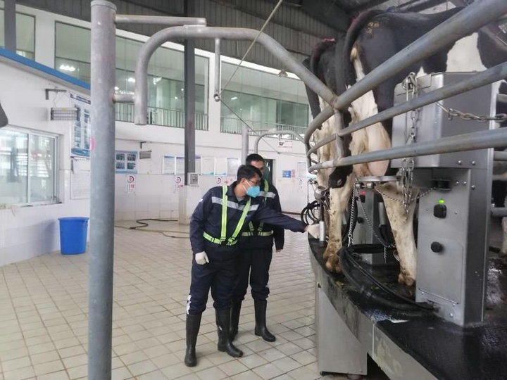 image3.jpeg image3.jpeg