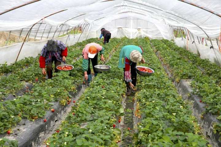 image2.jpg image2.jpg