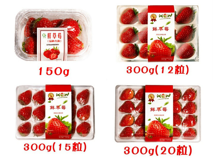 image3.jpg image3.jpg