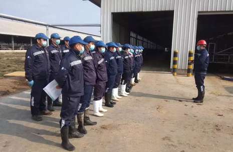 图片3.png 图片3.png