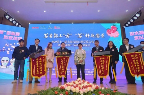 image7.jpeg image7.jpeg