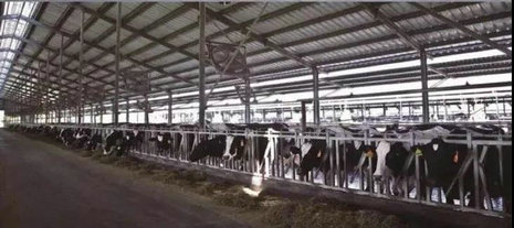 image8.jpeg image8.jpeg