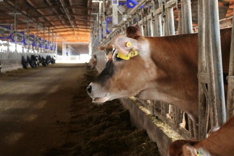 image8.jpeg image8.jpeg