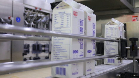 image9.jpeg image9.jpeg