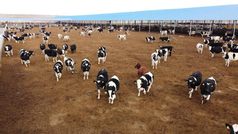 image5.jpeg image5.jpeg