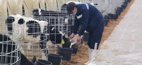 image7.jpeg image7.jpeg