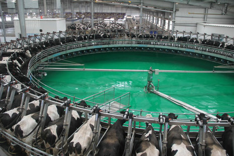 image2.jpeg image2.jpeg