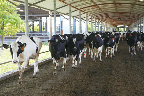 image3.jpeg image3.jpeg