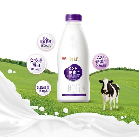 image2.jpeg image2.jpeg