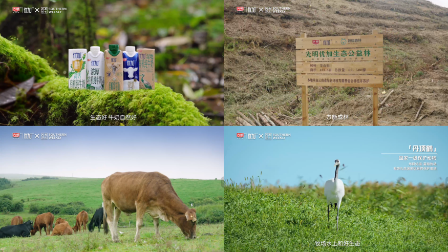 cf70c66d30a8ab86658c46f5f108847