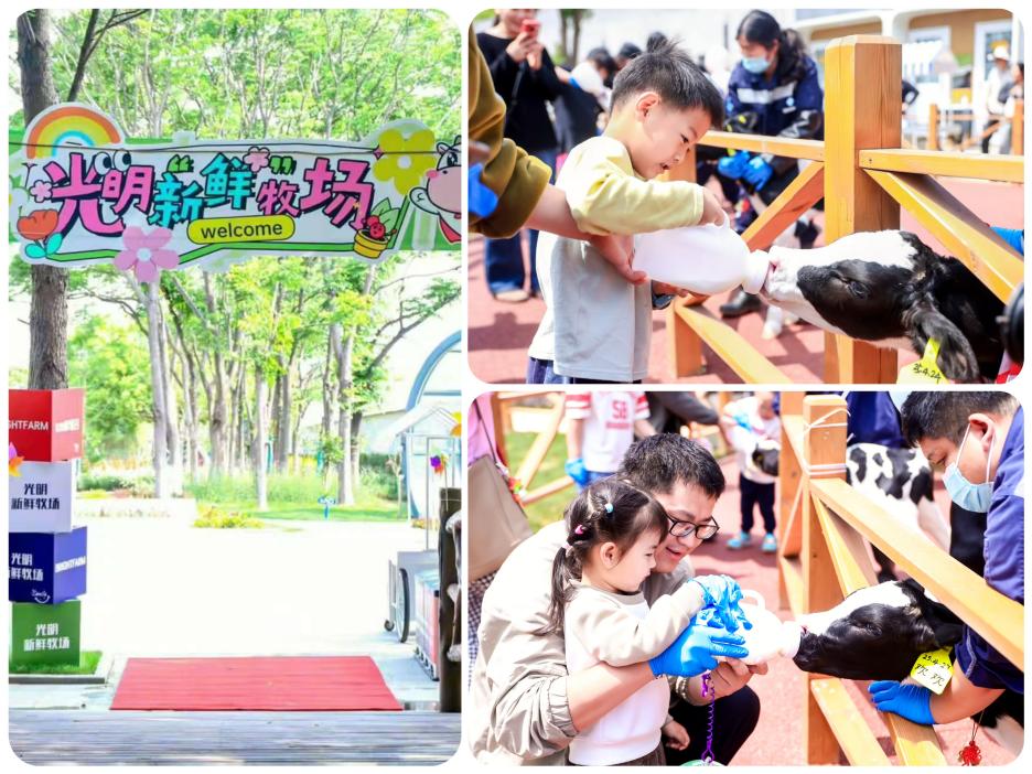 052c51732d5e91c92846b909e5b0a2f